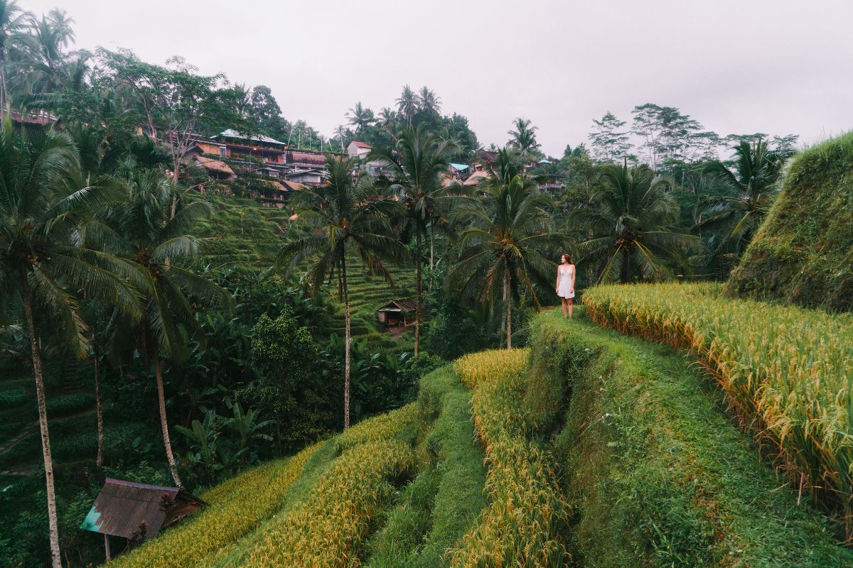 バリ島で大人の語学留学を楽しむイメージ