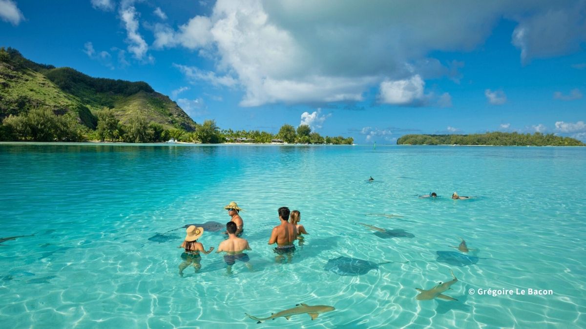 シュノーケリングやダイビングなどのマリンアクティビティ