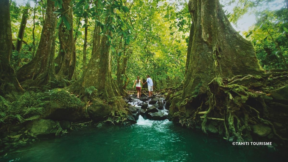 ハイキングや4WDサファリなどの山・自然体験