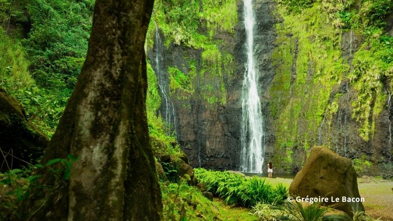 タヒチで楽しめるマリンアクティビティの様子