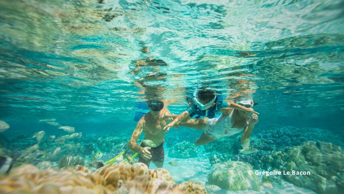 タハア島のコーラルガーデン