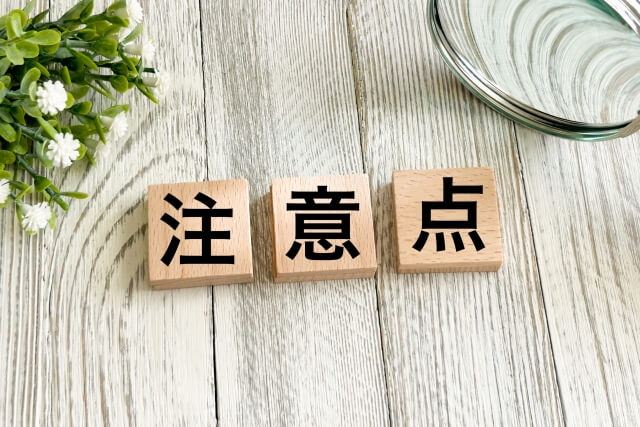 オーダーメイド海外旅行で貸切チャーターを手配する際の注意点と計画