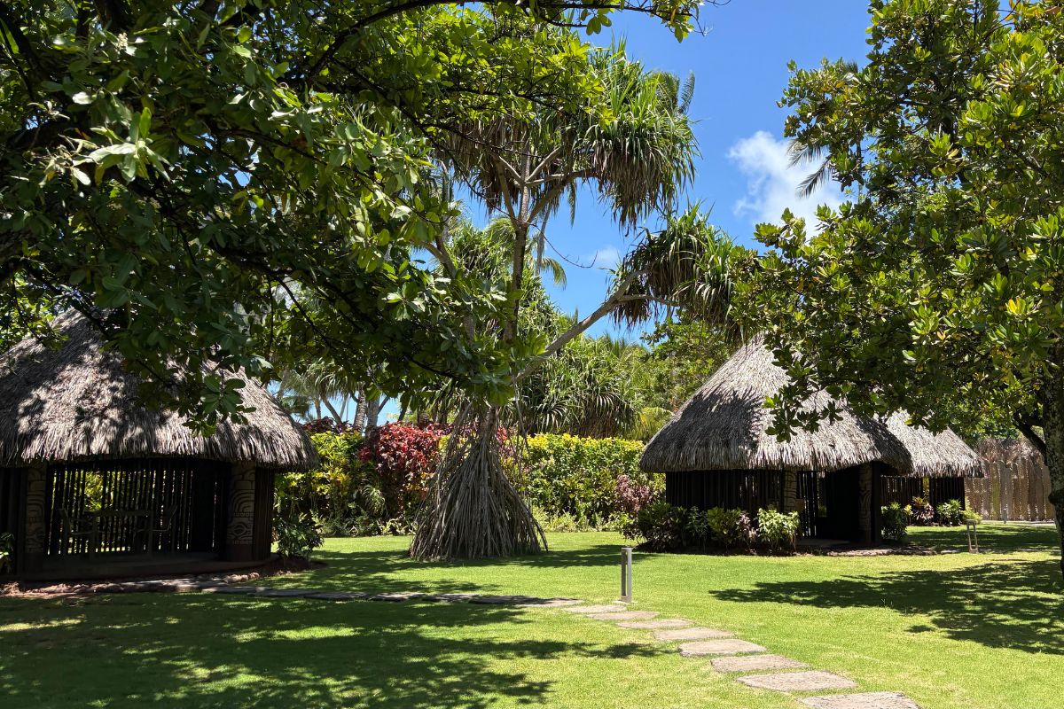 心地よさの先に未来がある-サステナビリティを嗜む宿選び