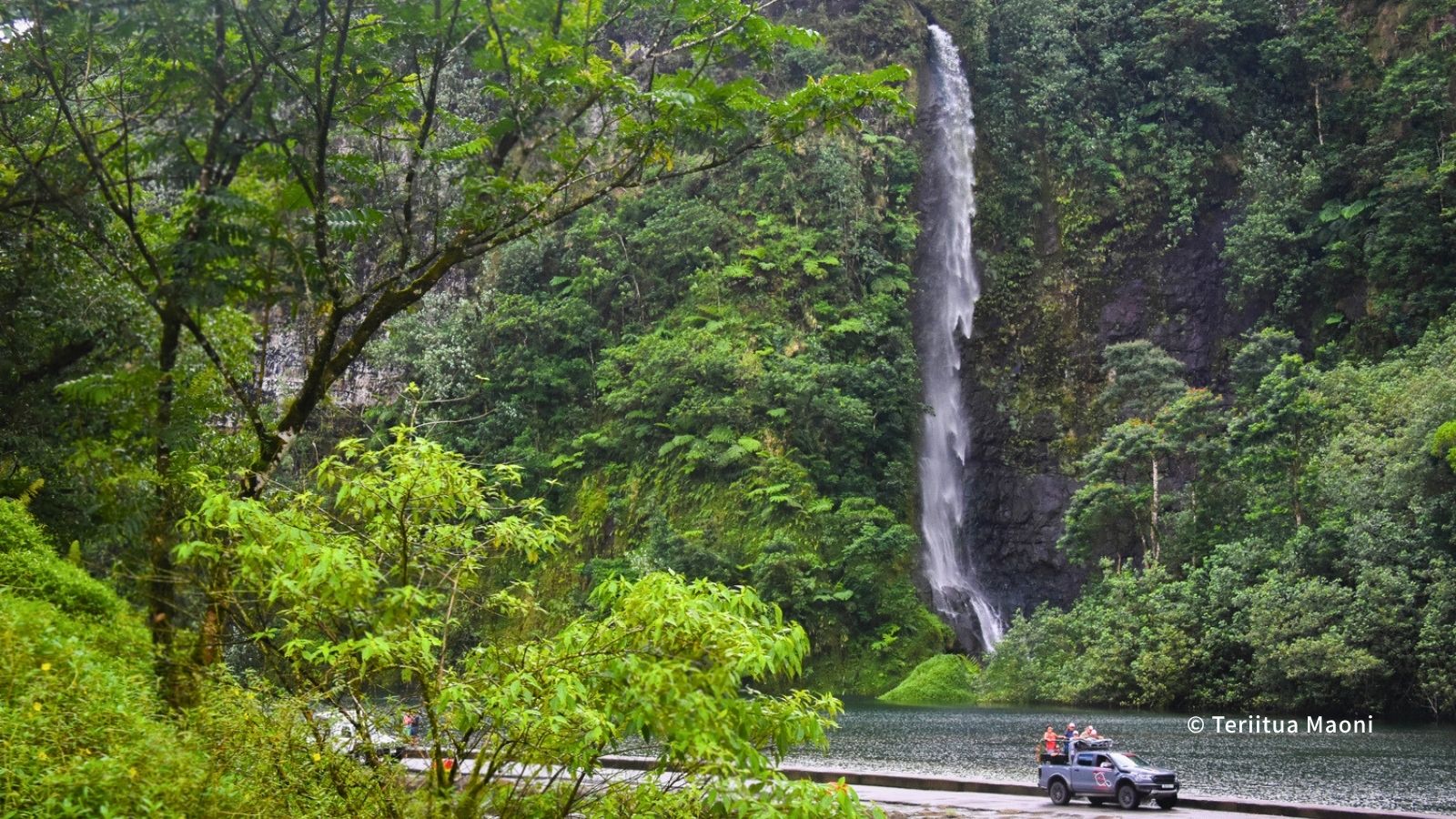 雨季のタヒチの自然