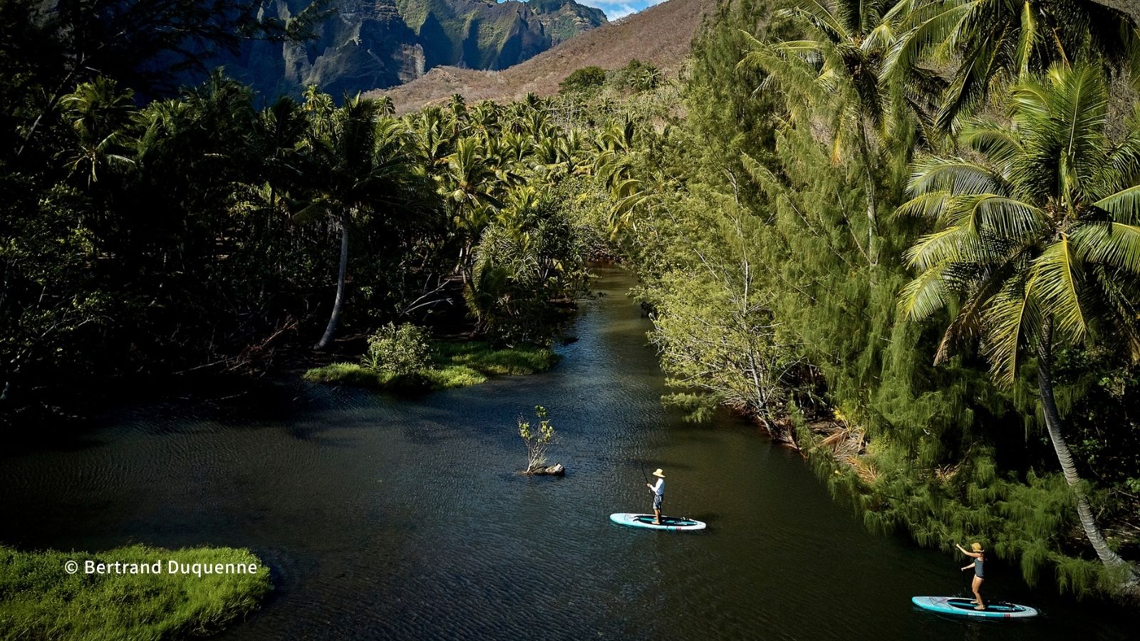 タヒチの自然を感じる風景
