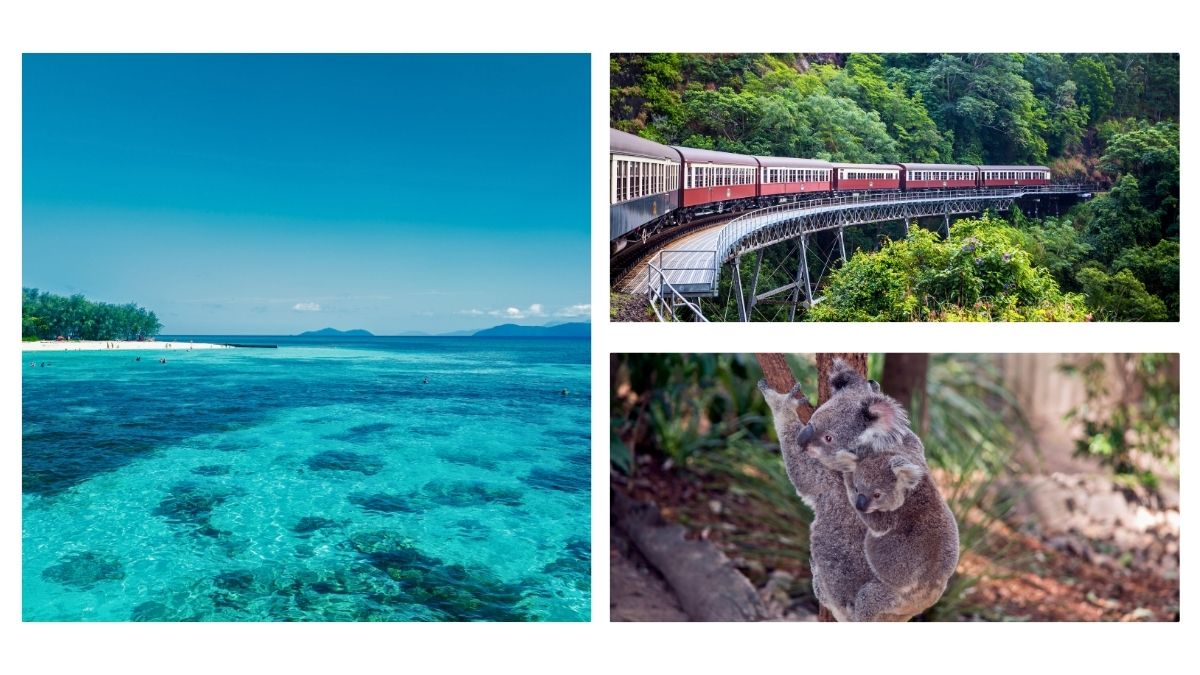 ケアンズのモデルケース