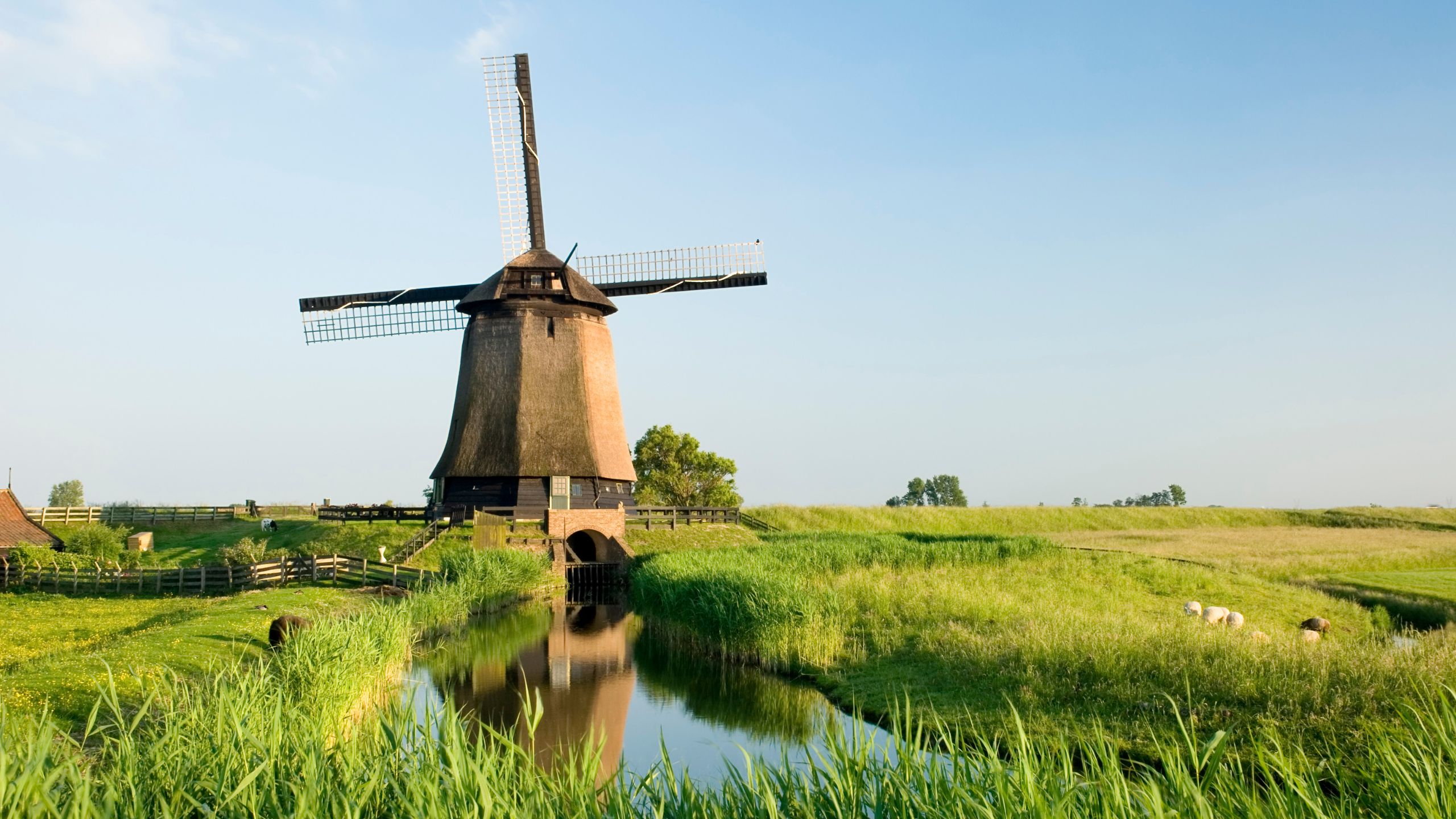 風車や花の風景を楽しみたい方におすすめの風景