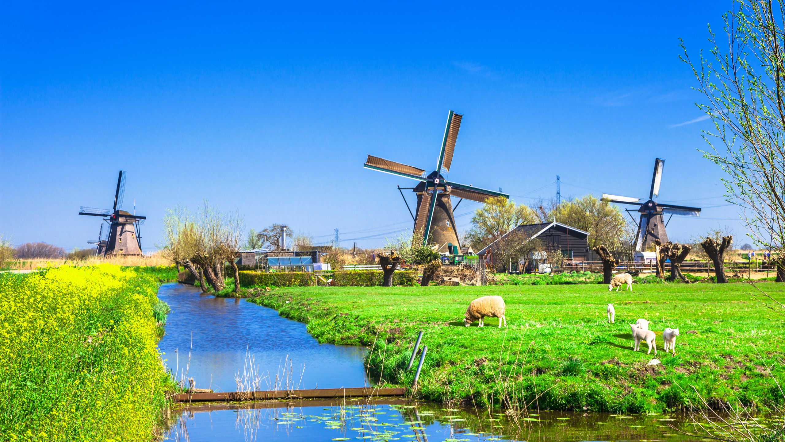 キンデルダイクの風車群