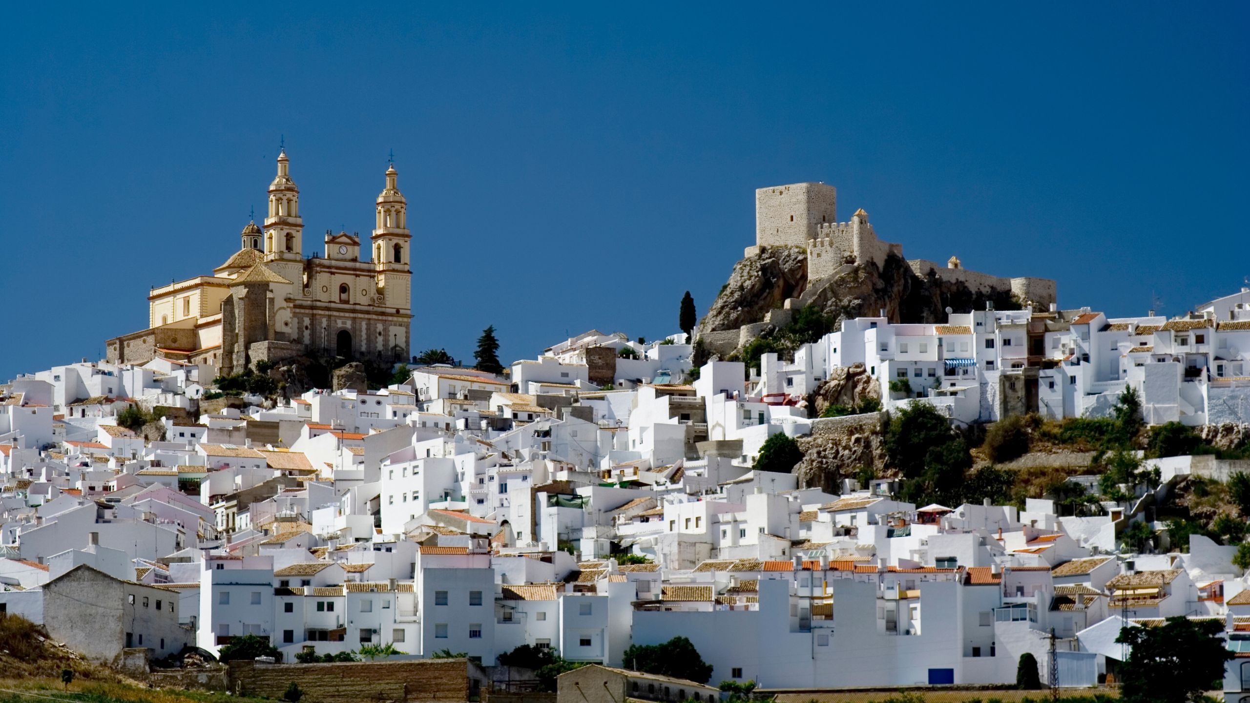 南部の景色やゆったりした時間を楽しみたい方におすすめの風景