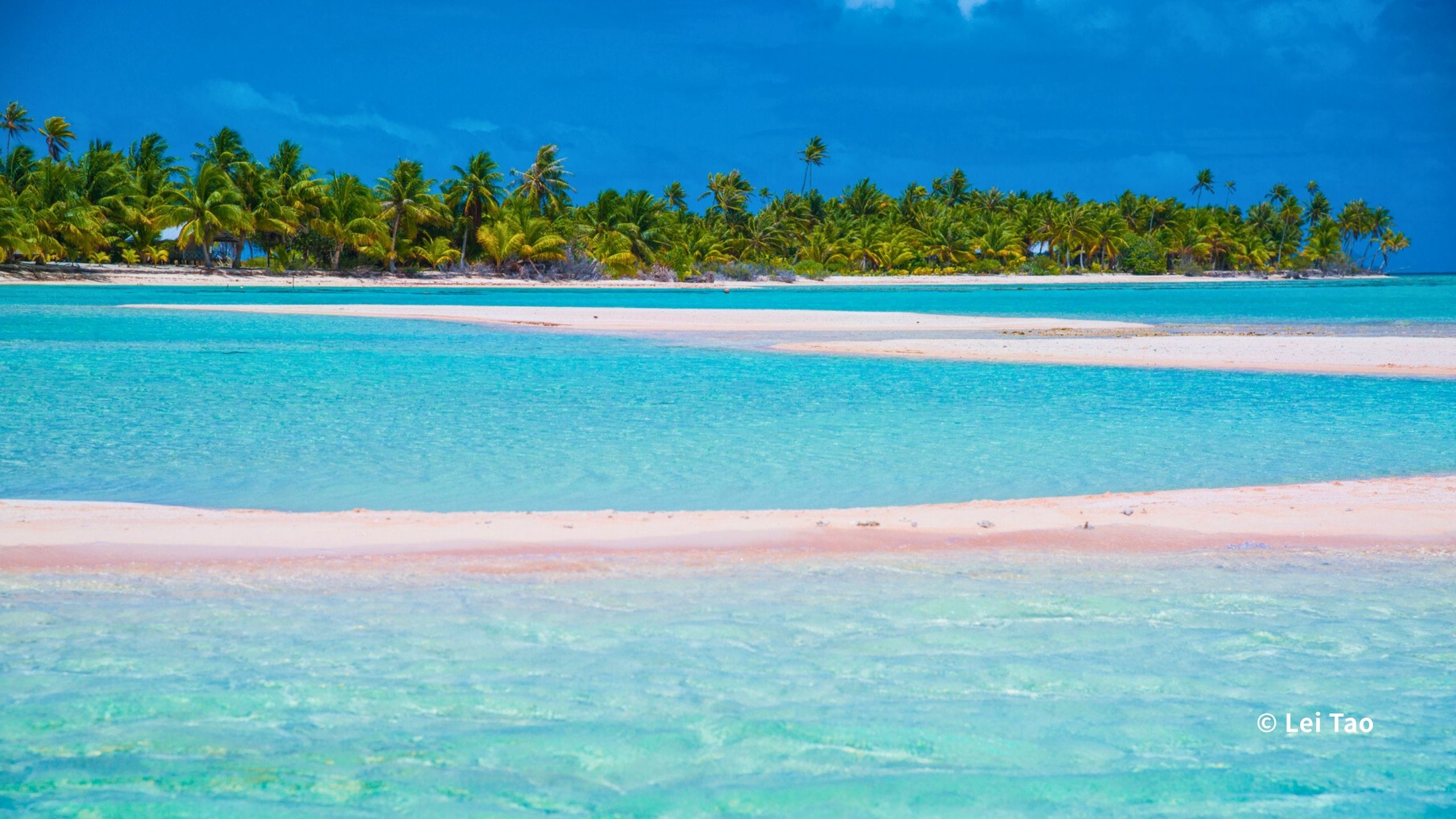 ティケハウ島の風景
