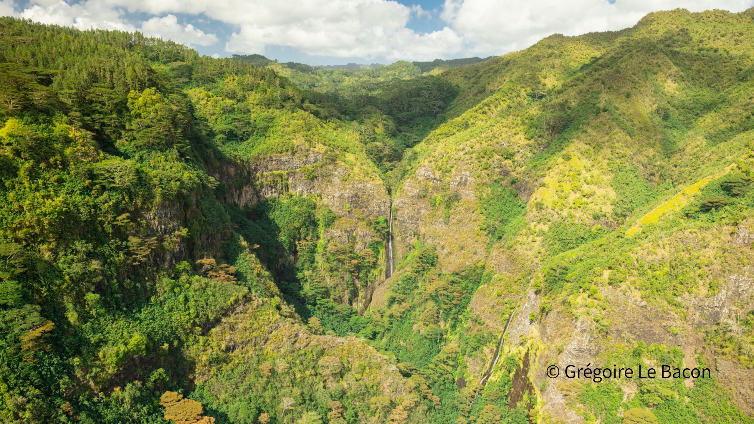 マルケサス諸島の深い谷を望む風景
