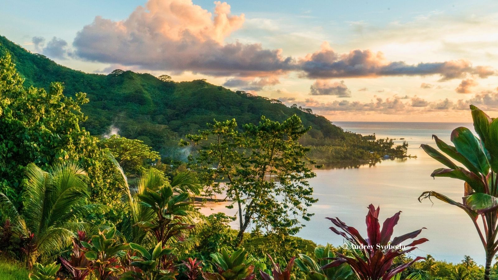 ライアテア島の自然