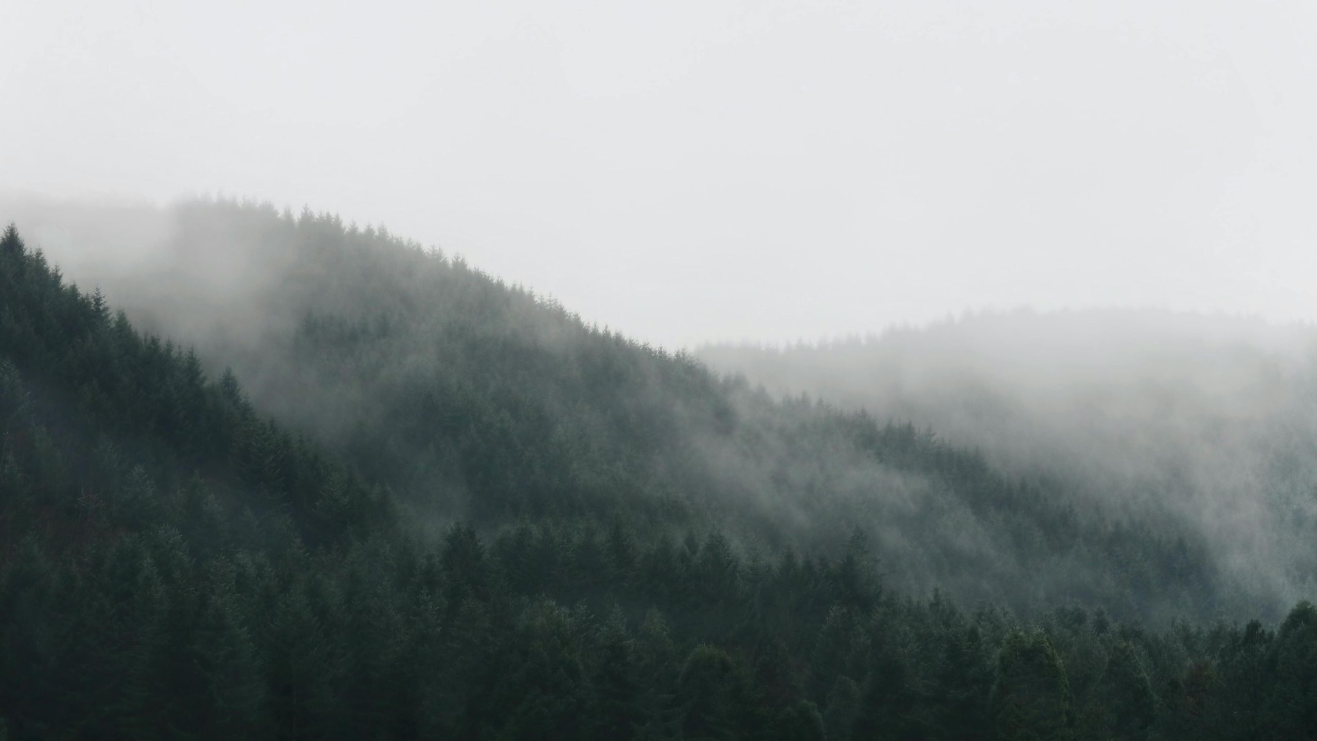 霧のかかる山並みの風景