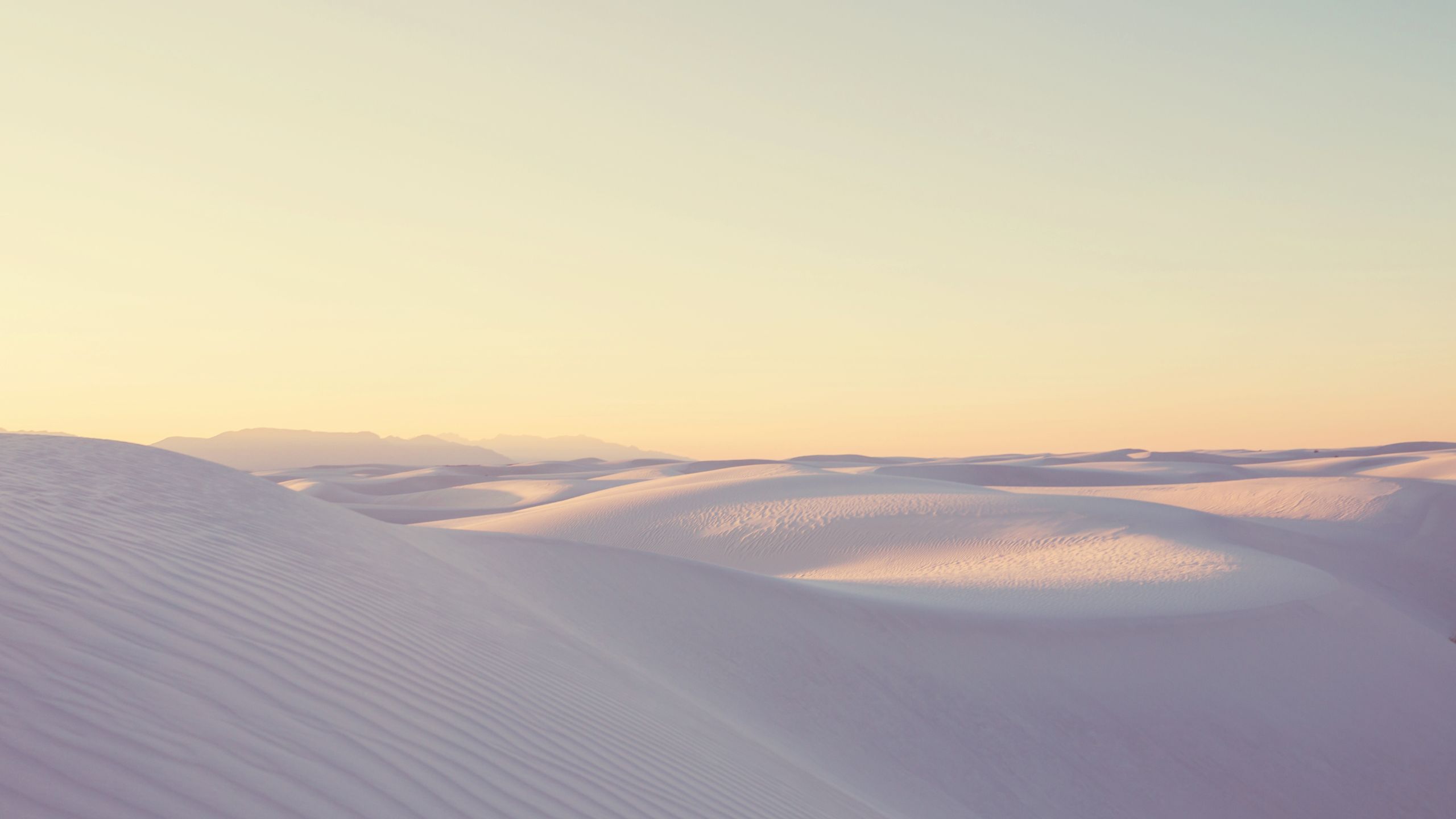 淡い光に包まれた砂丘の風景